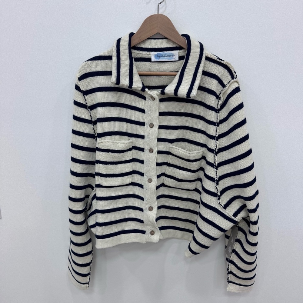 Big Water Blue Sky Lizard Thicket Hattie Navy blue strips Sweater Cardigan Sz Lg - Picture 2 of 7